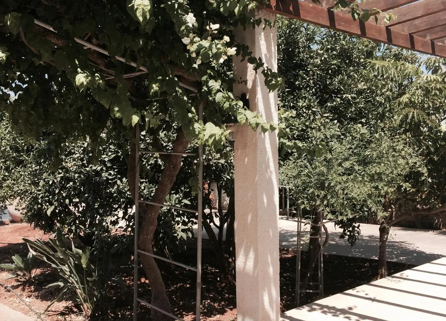 Erini Villa Protaras Cypr