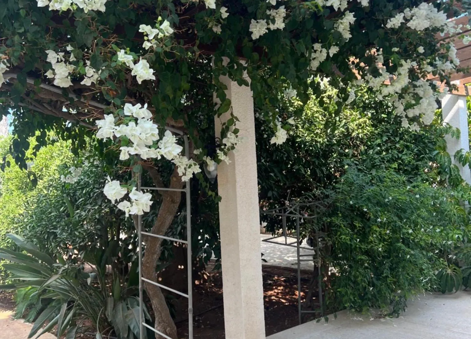 Erini Villa Protaras