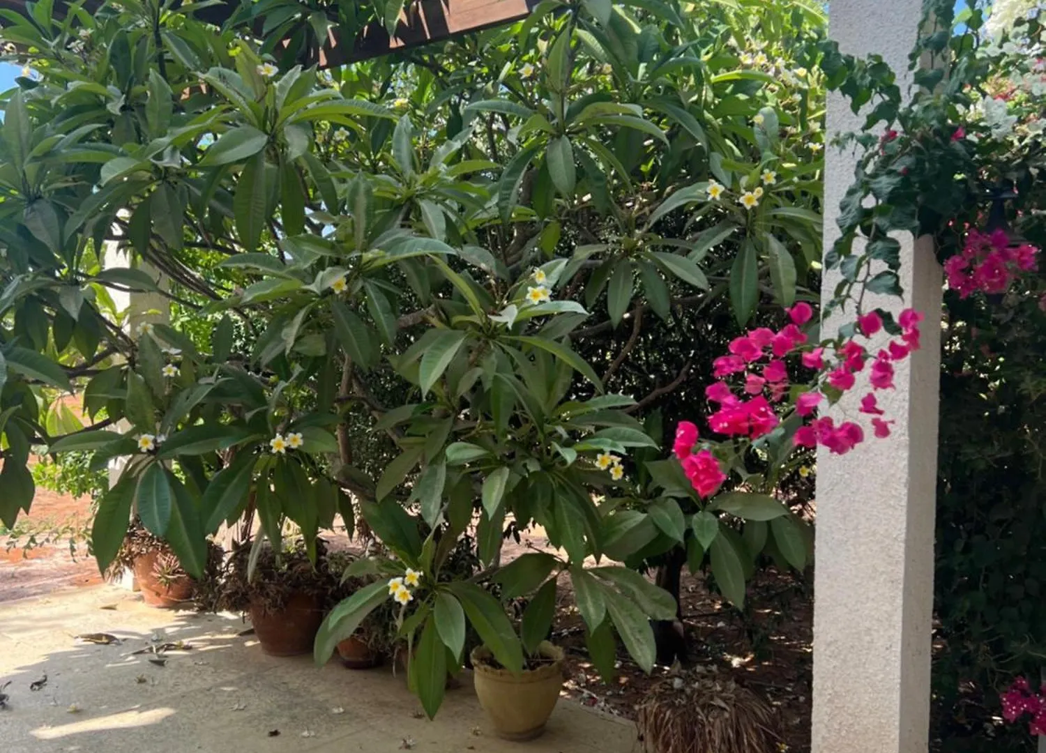 Erini Villa Protaras