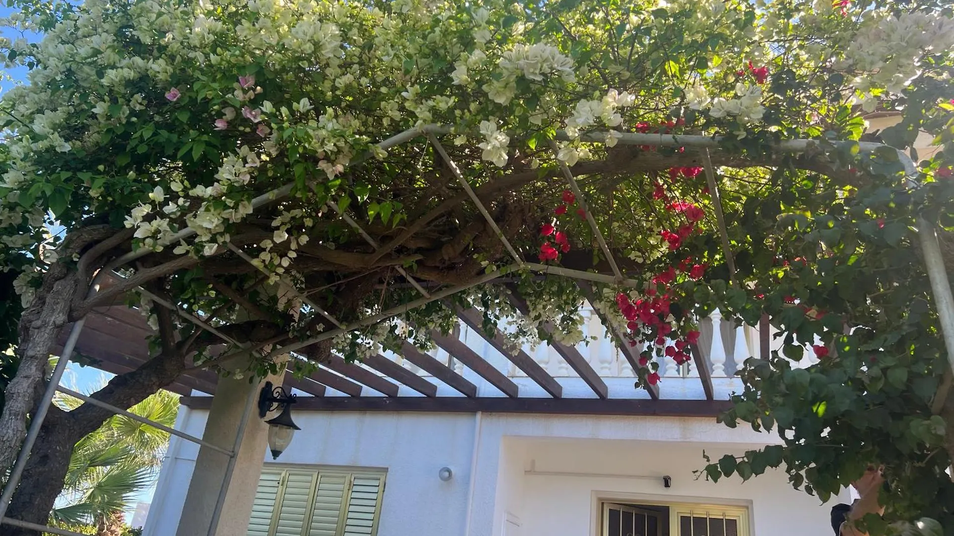 Erini Villa Protaras Cypr