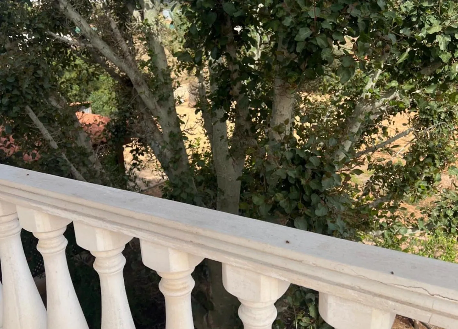 Erini Villa Protaras