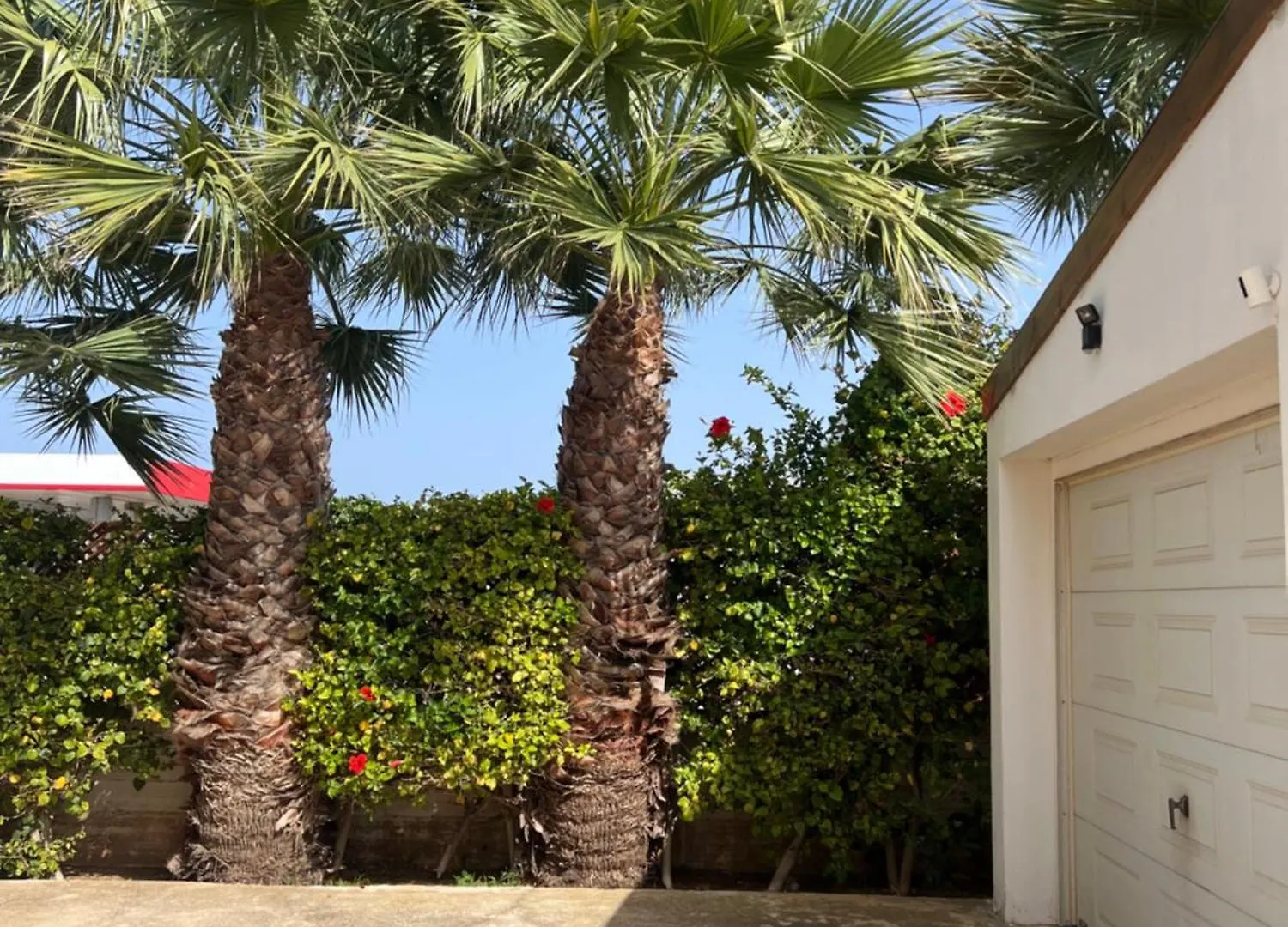 Erini Villa Protaras