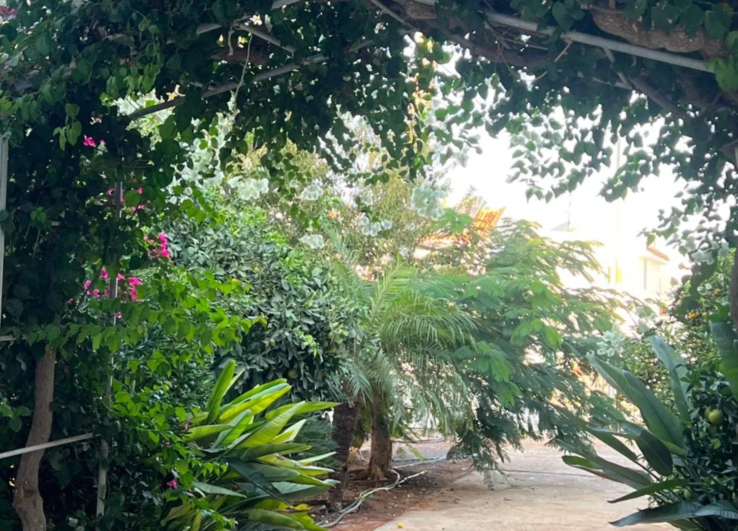 Erini Villa Protaras